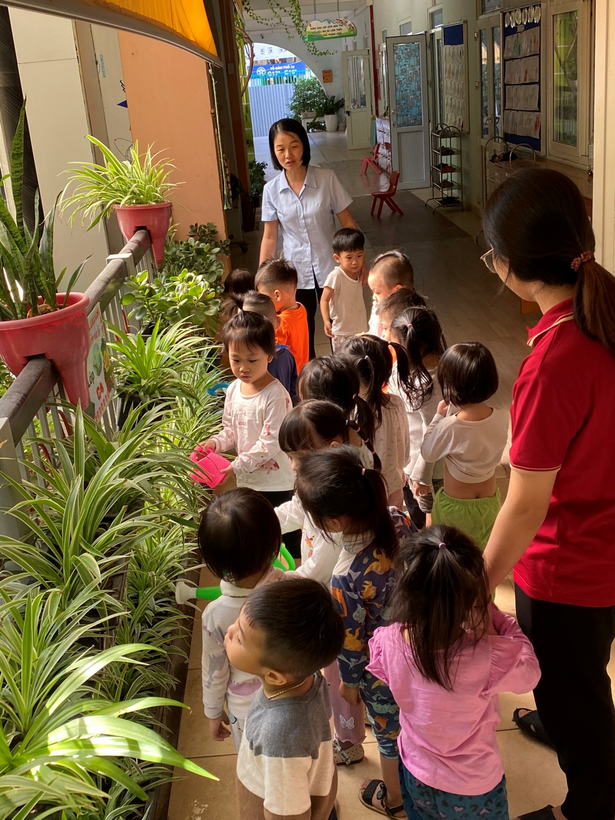 D:\anh c5 23\tươi cây-20221102T032722Z-001\tươi cây\z3848112168666_38fbf300708646d6948fef10978424e1.jpg