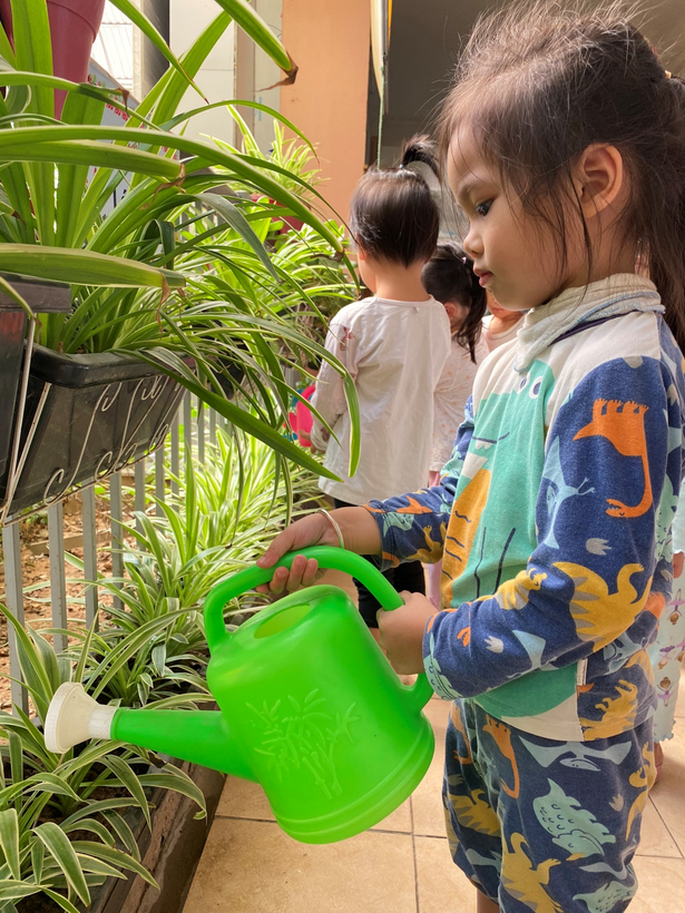 D:\anh c5 23\tươi cây-20221102T032722Z-001\tươi cây\z3848112320338_2e3827d9e6f0e80825d919eeb300cbdf.jpg