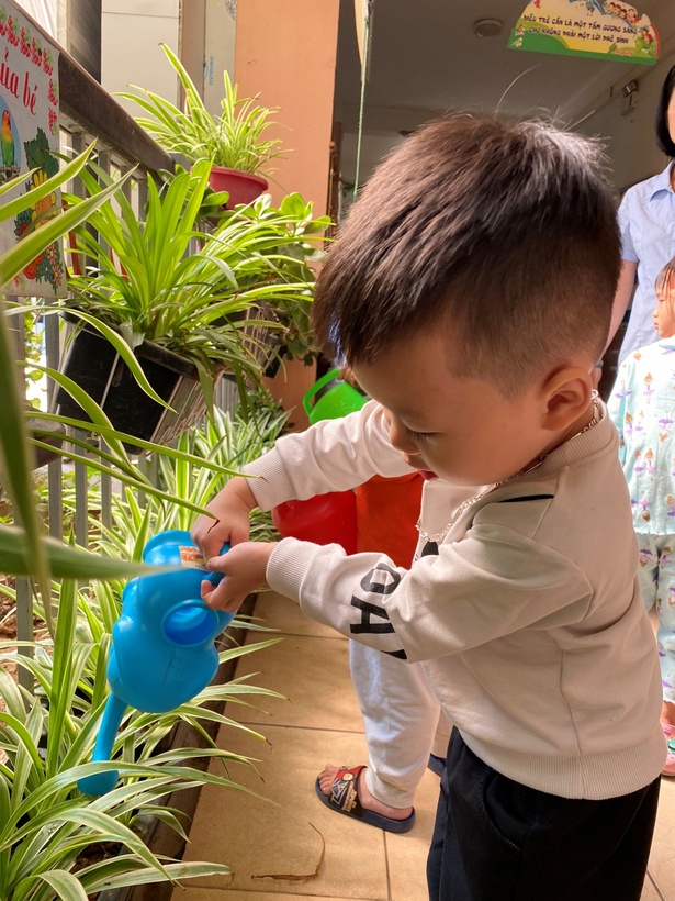 D:\anh c5 23\tươi cây-20221102T032722Z-001\tươi cây\z3848112594515_85d128770dc0b548da0b1396eaf39f90(1).jpg