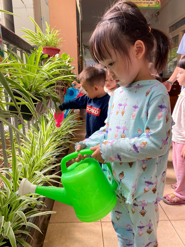 D:\anh c5 23\tươi cây-20221102T032722Z-001\tươi cây\z3848112545350_fcc90b5b258b9bb2114c774499de6252.jpg