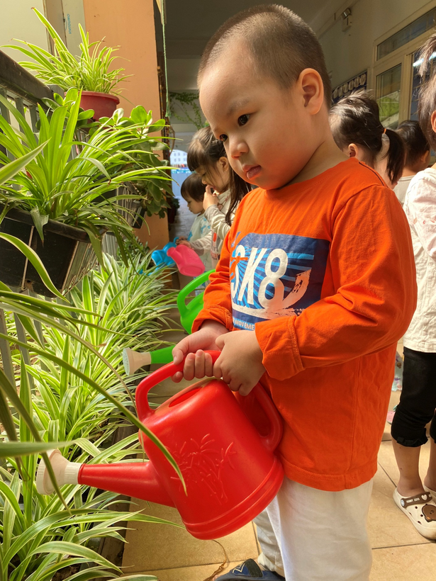 D:\anh c5 23\tươi cây-20221102T032722Z-001\tươi cây\z3848112729226_7e221b463c0cd49c91bde967ee33c017.jpg