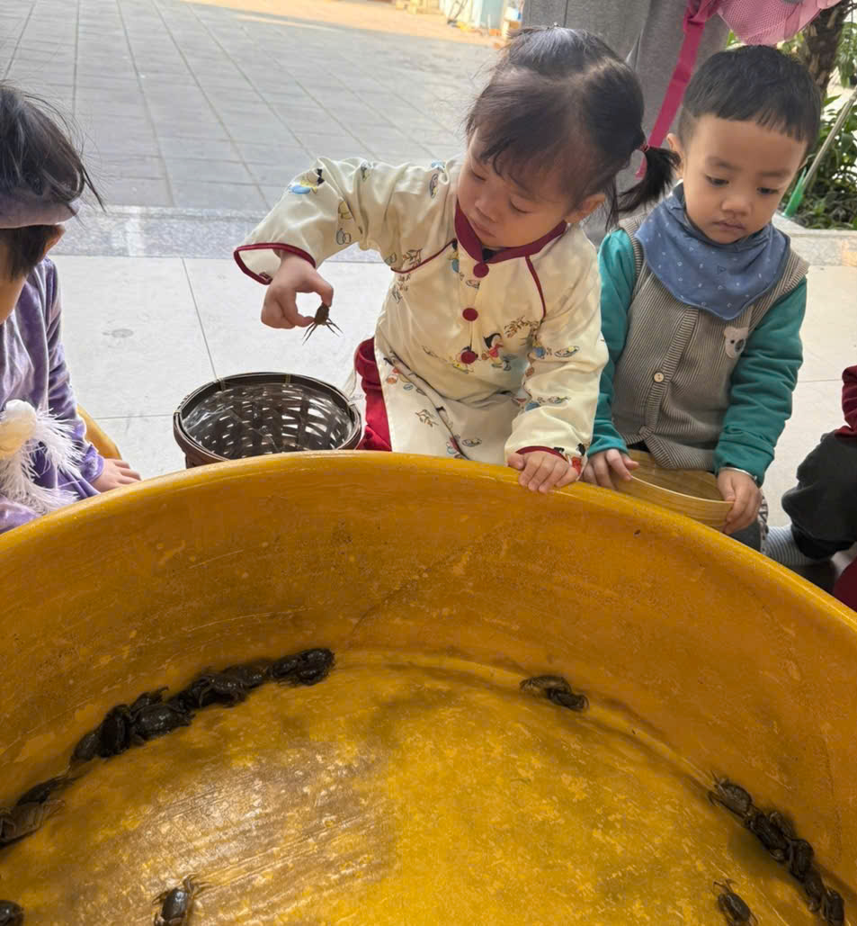 A group of children looking at a large yellow bowl with a few small snails
Description automatically generated