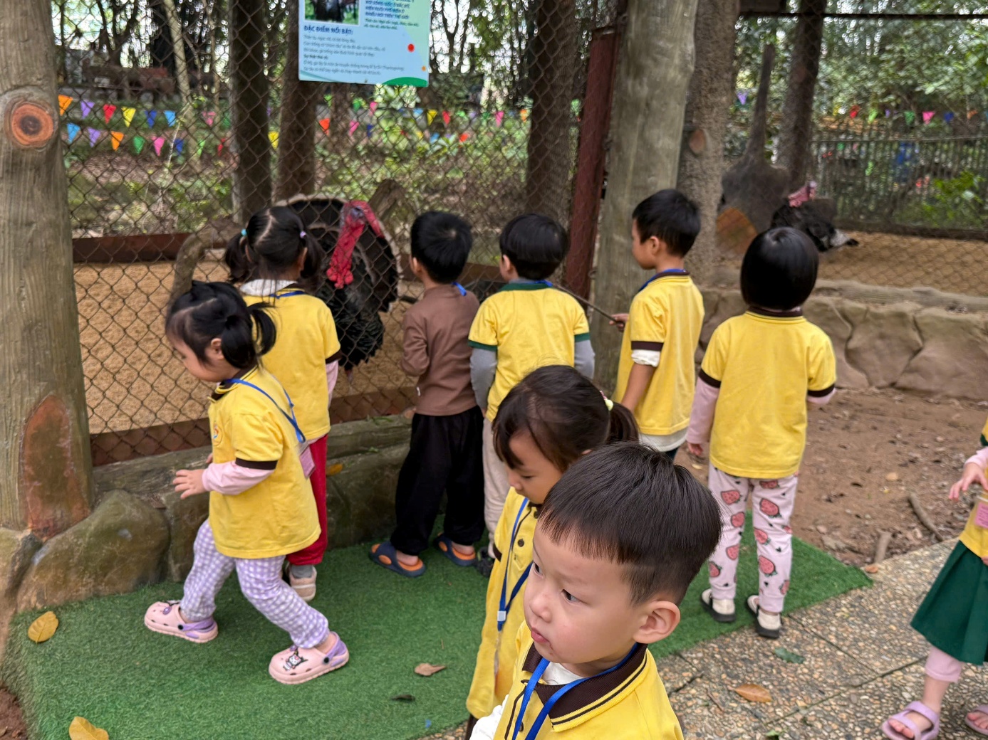 Ảnh có chứa trang phục, trẻ tập đi, ngoài trời, người
Nội dung do AI tạo ra có thể không chính xác.