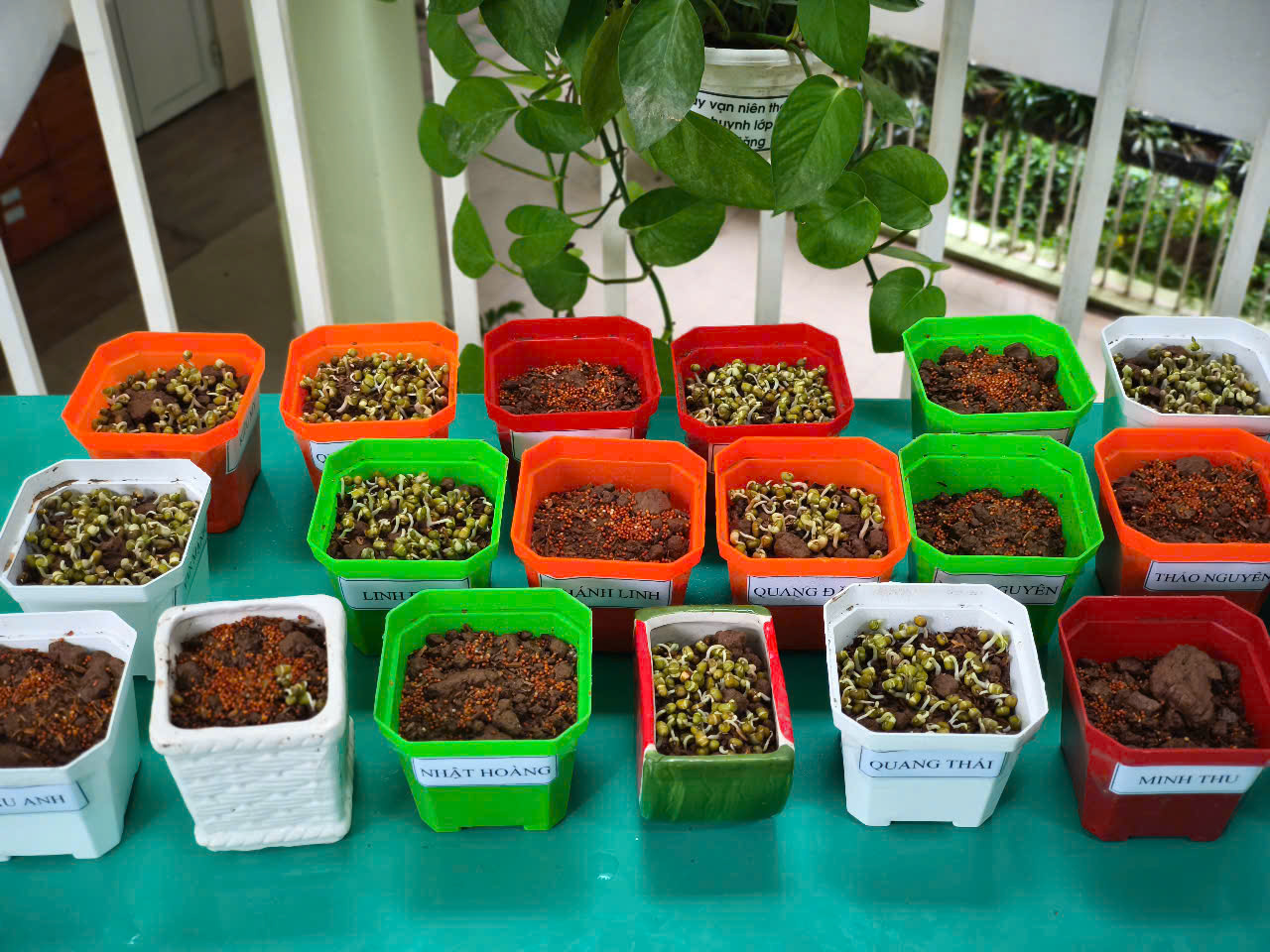 z6328051836762_6de502d29716bb1aeaf0a1a7f054d0d3