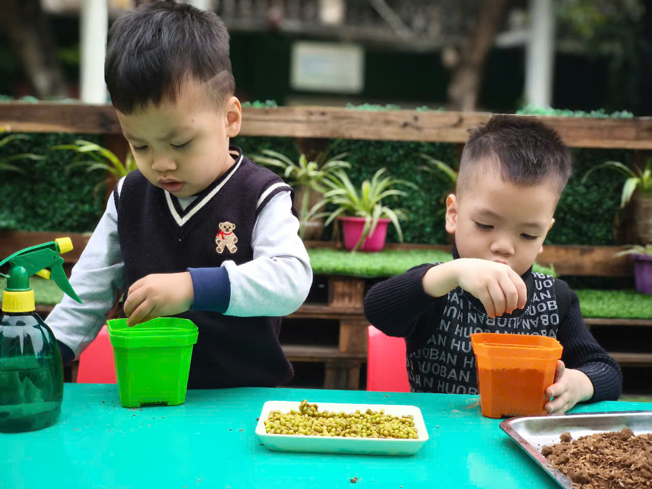 z6326170462135_3005e4592fc622a3a22a5fe4a13169b5