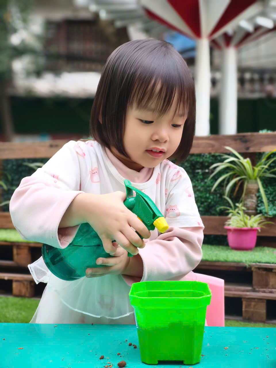 z6326168401374_6cc2411f730fc288d39f6219896d60d3