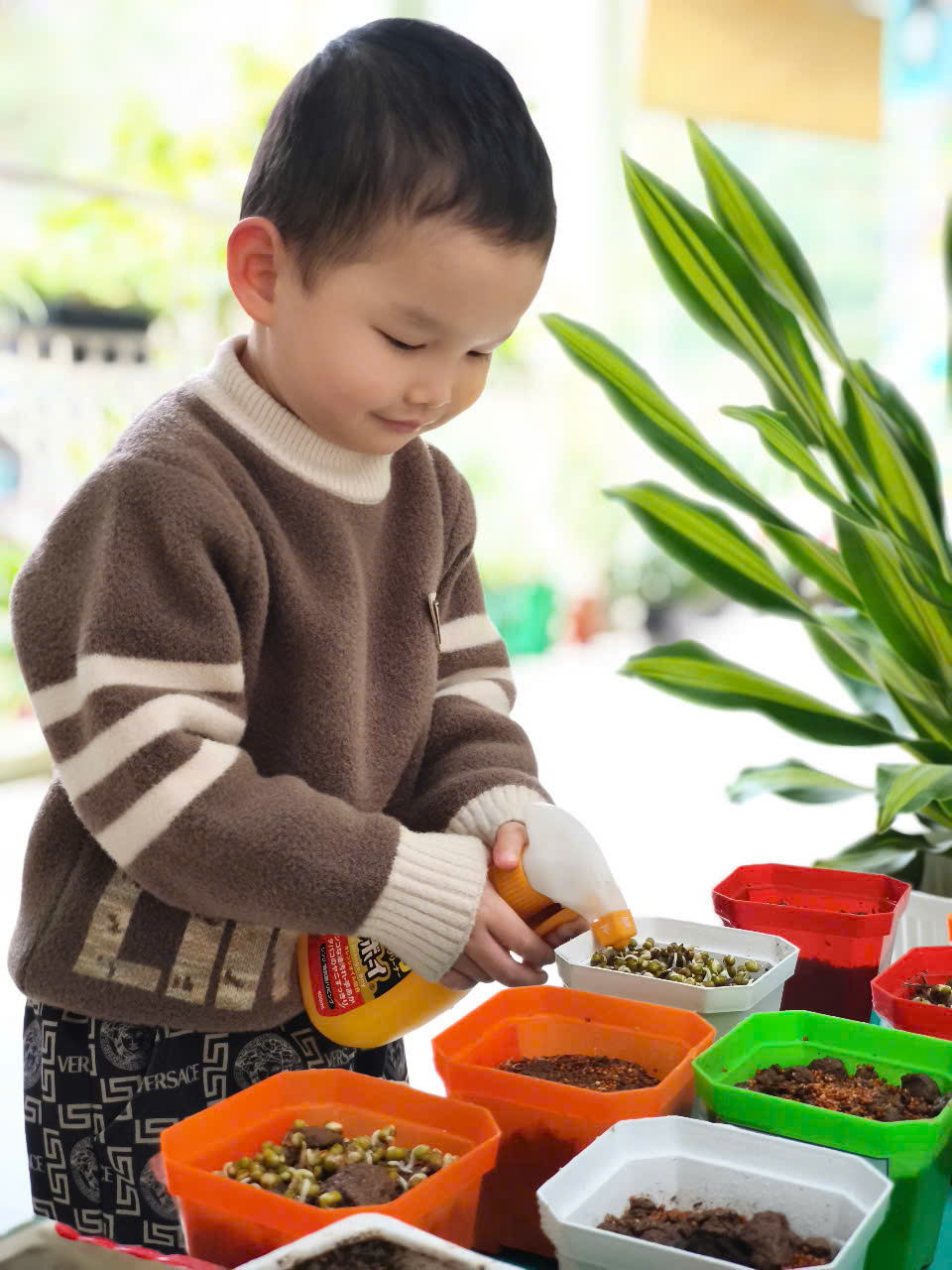 z6326134229942_ad0d0025c14e41d1c078347df579969b