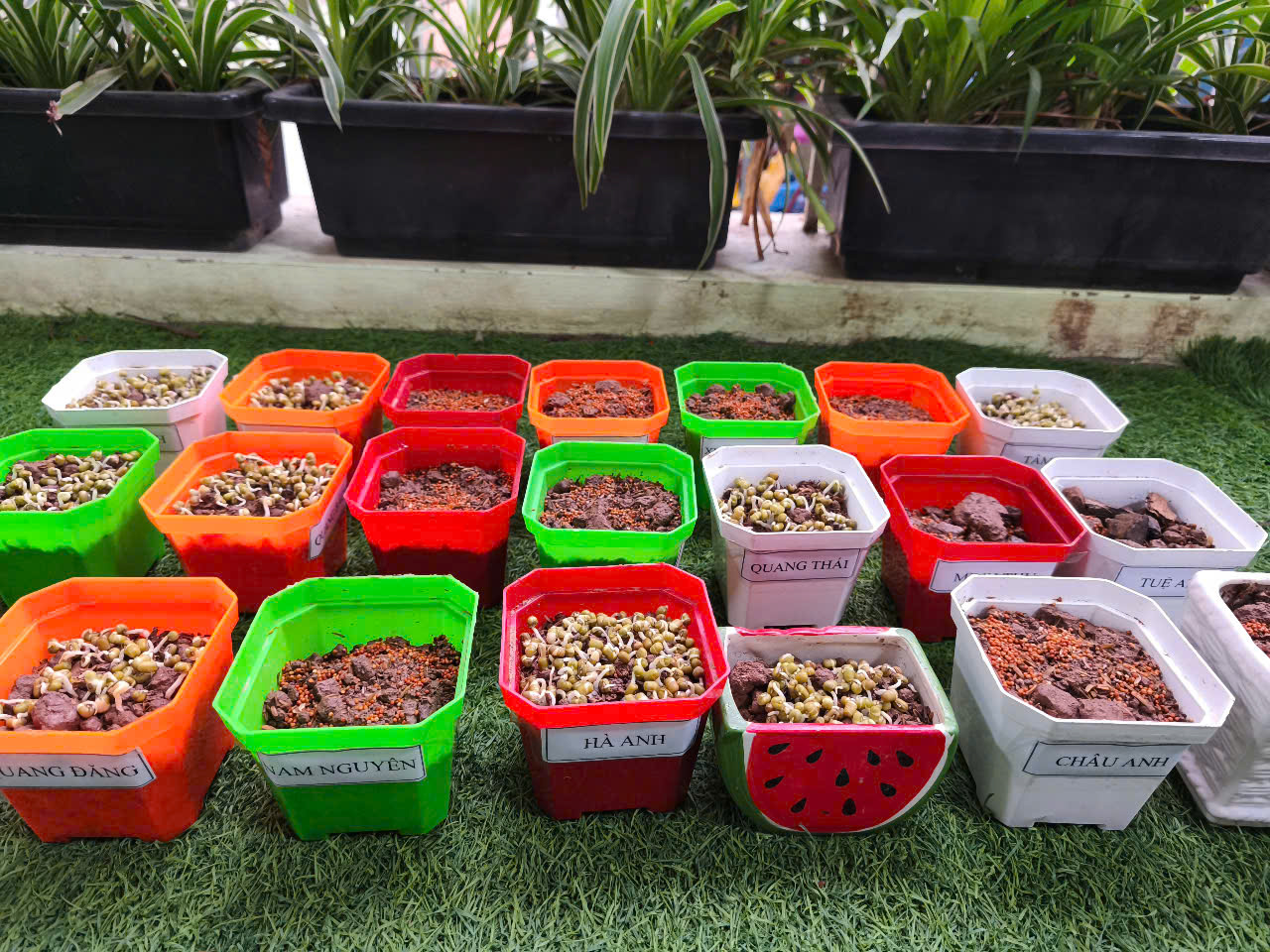 z6327838635688_972fbbe066268059fc4dd9923a130c71