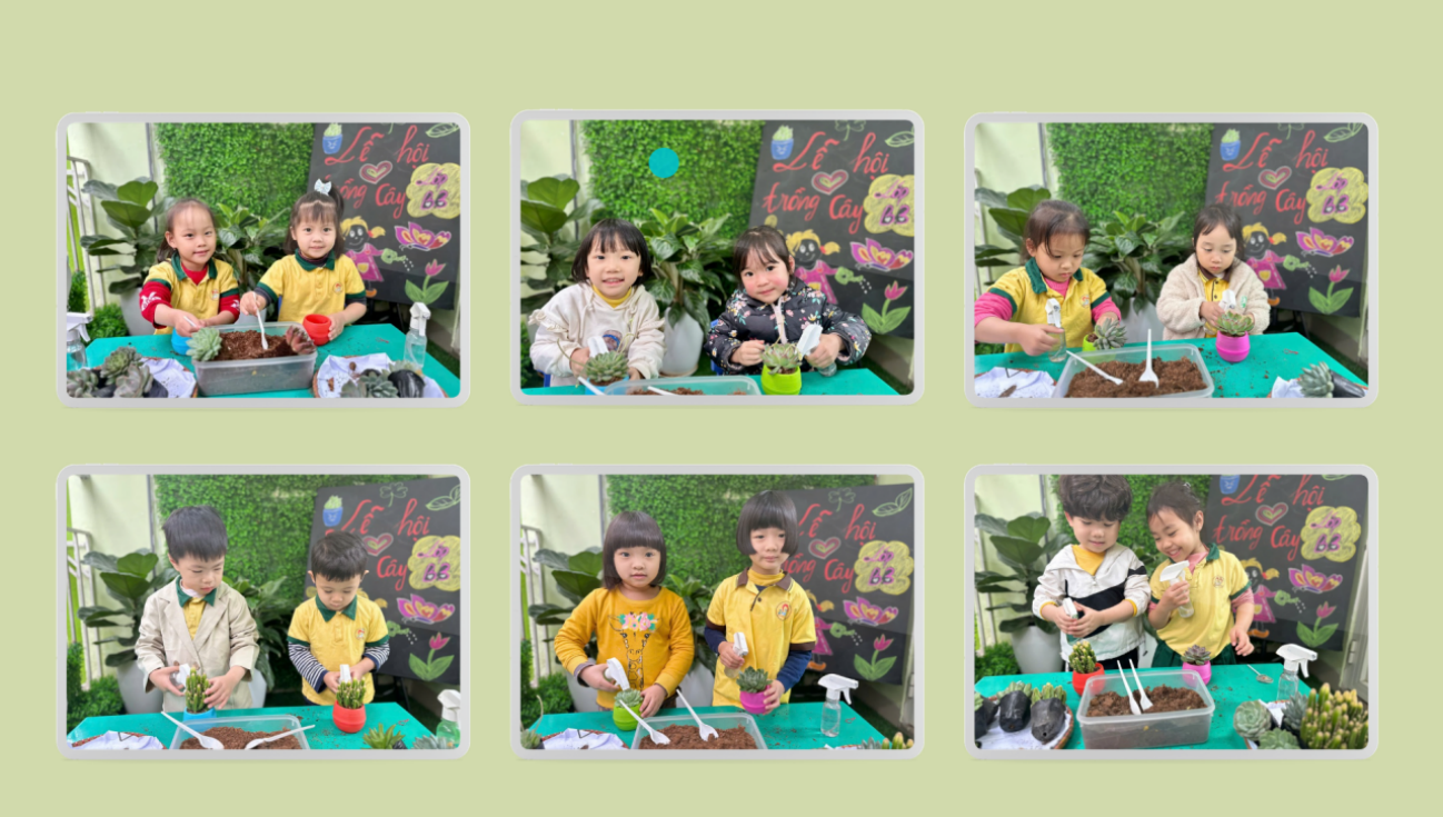 Ảnh chụp màn hình 2025-03-04 190724