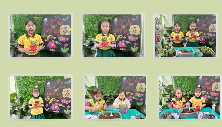 Ảnh chụp màn hình 2025-03-04 190856