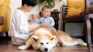 C:\Users\Admin\Desktop\tải xuống (3).jpg